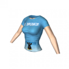 Icebreaker T-shirt